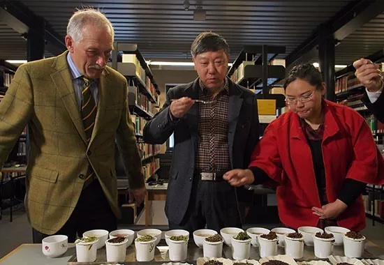 古代最文雅的全民竞技游戏是什么？——斗茶