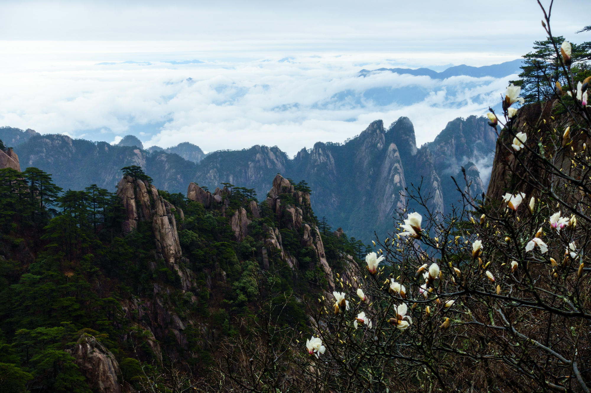 看了那么多攻略，为什么还玩不好黄山？