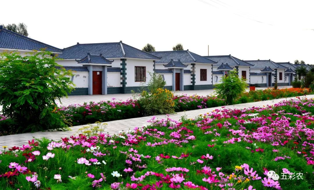 正确推进美丽乡村建设,这四大问题要避免