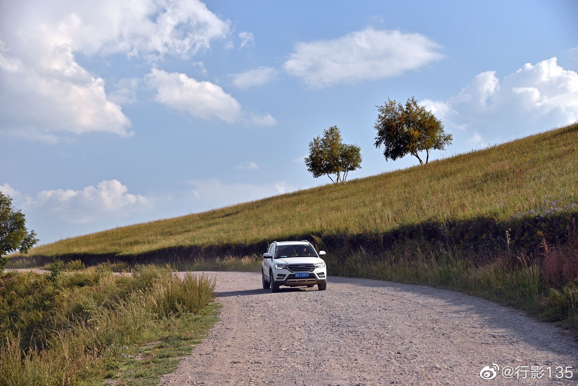 京城后院 自駕草原天路