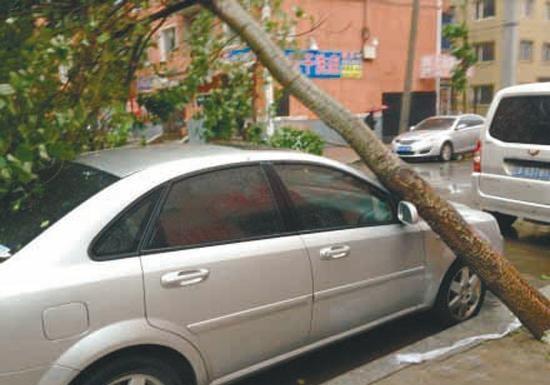 为什么很多老司机从不买车损险？知情人士：不买的都是吃过亏的