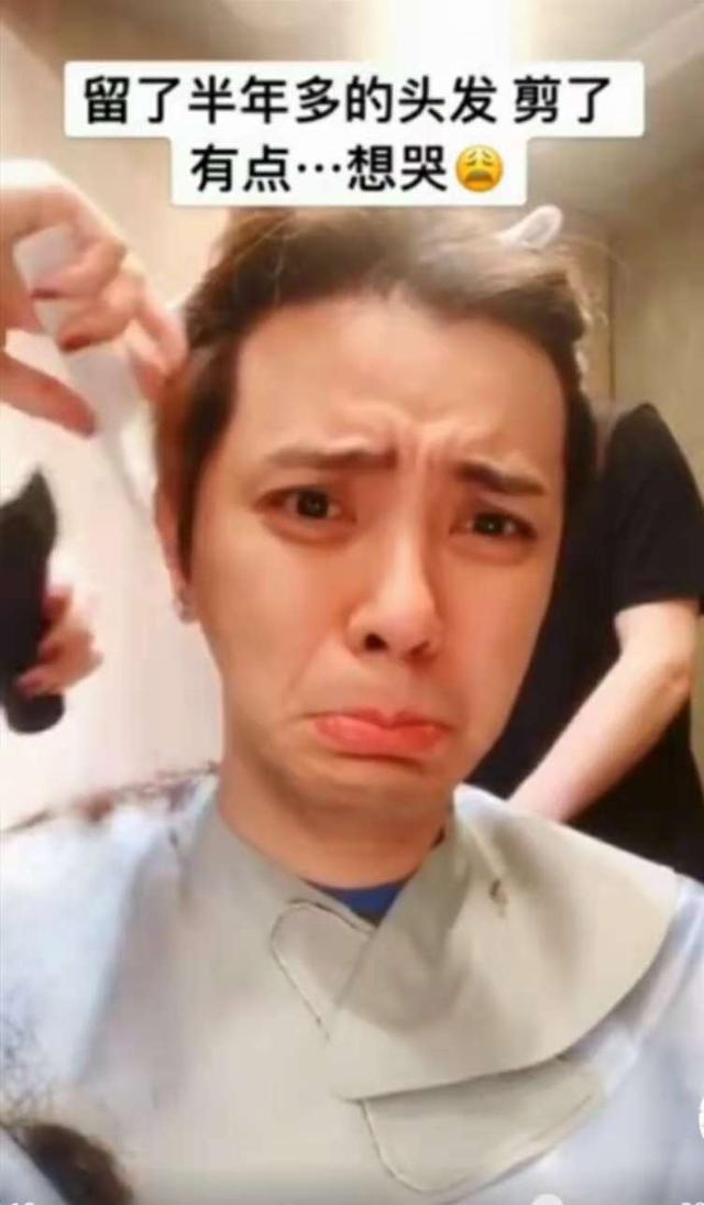 被强行剪头发的小说