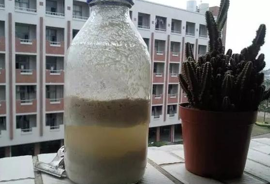 用大豆、果皮养花,不如往盆里“放个饼”,叶片油绿,开花更旺!