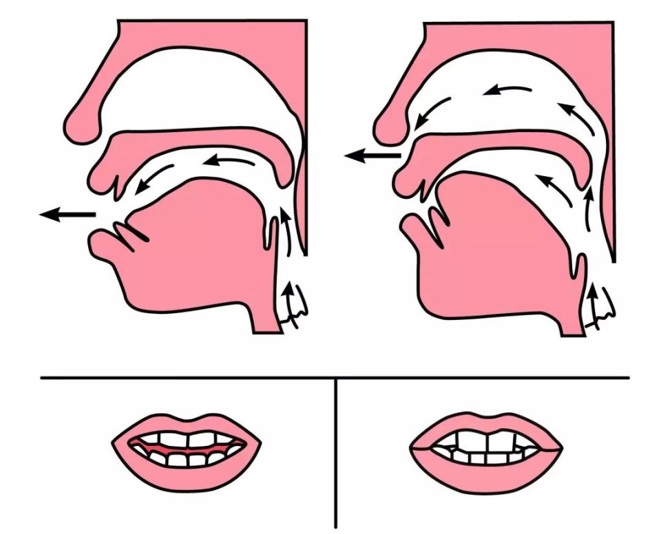 小学低年级前后鼻音发音技巧,教给孩子