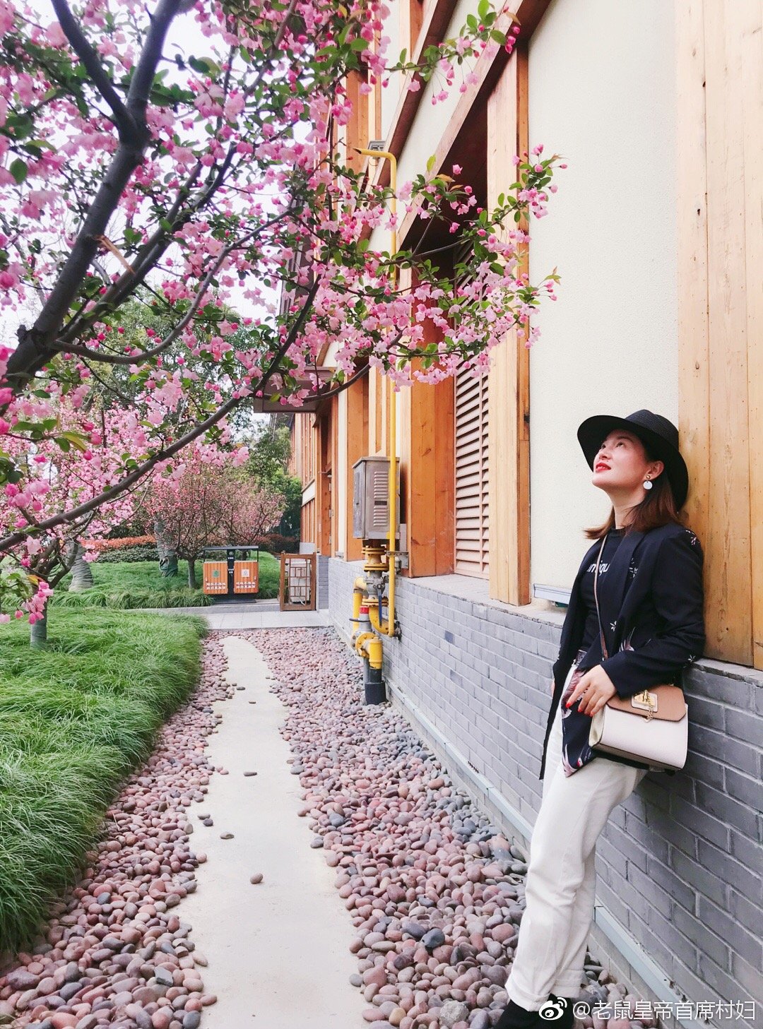 煙花三月去揚(yáng)州，綠暗紅綃，誰家庭院櫻開早？一片寒香入畫堂