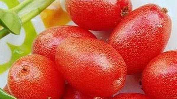 4种含有“奶”的果子，真正的果奶，各个集颜值和美味于一身