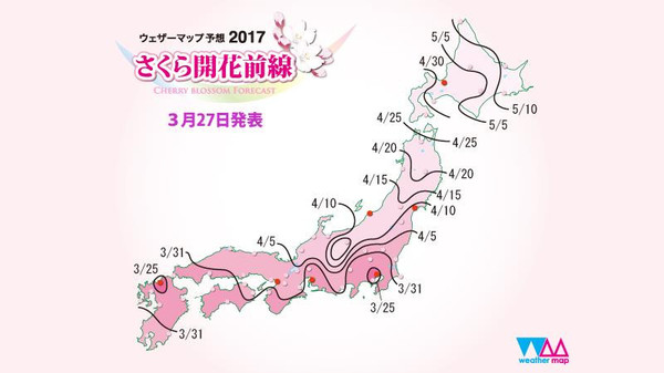 樱花烂漫几多时？日本赏樱攻略