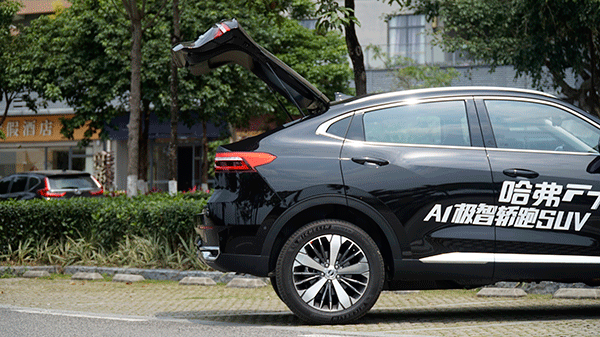 SUVר����һ���������ﱳ�Ĺ���F7X�ܷ�����˶�SUV�г���