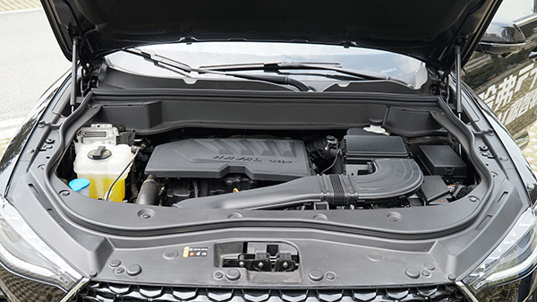 SUVר����һ���������ﱳ�Ĺ���F7X�ܷ�����˶�SUV�г���