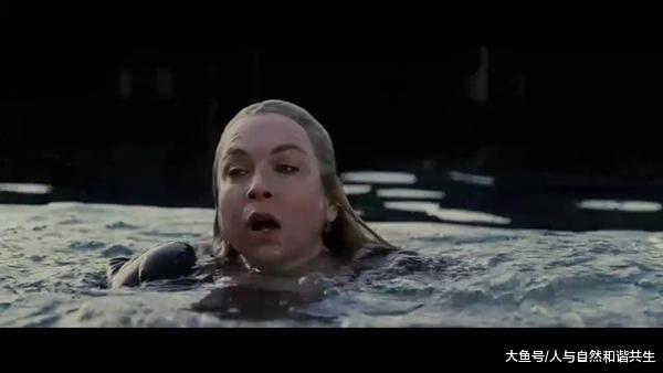 第39号案件在线