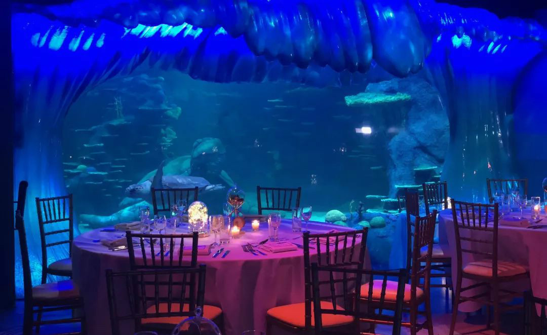 悉尼海洋生物水族馆推出全新会议场地