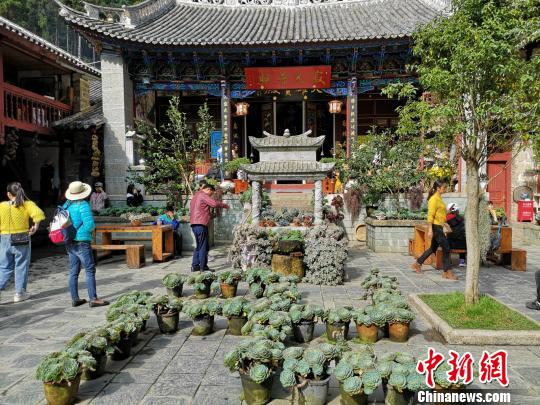 图为寂照庵内部环境 杜潇潇 摄