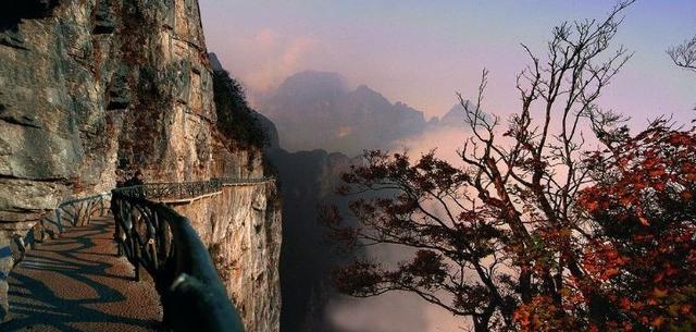 中国最美的十大森林公园