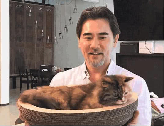 晒晒赵文瑄的豪宅：装修大方又奢华，头次见连大门都是全铜做的