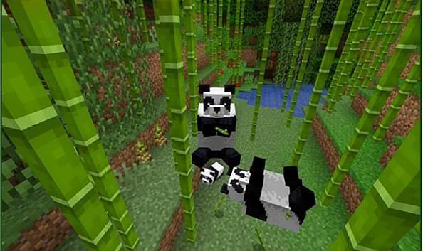 Minecraft 养熊猫都不知道 国宝也分种类 很有性格