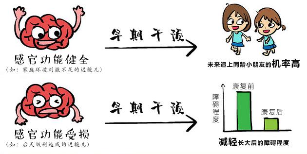 什么是语言言语治疗师？