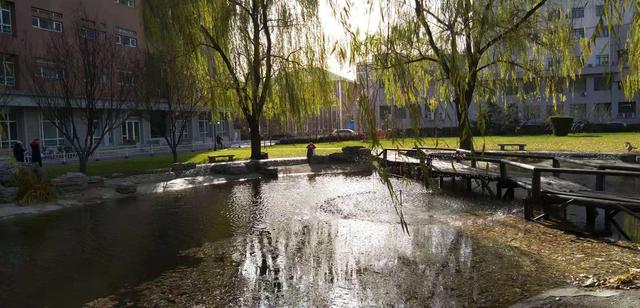 微信双开、红包助手、杜比音效:摩托罗拉P30