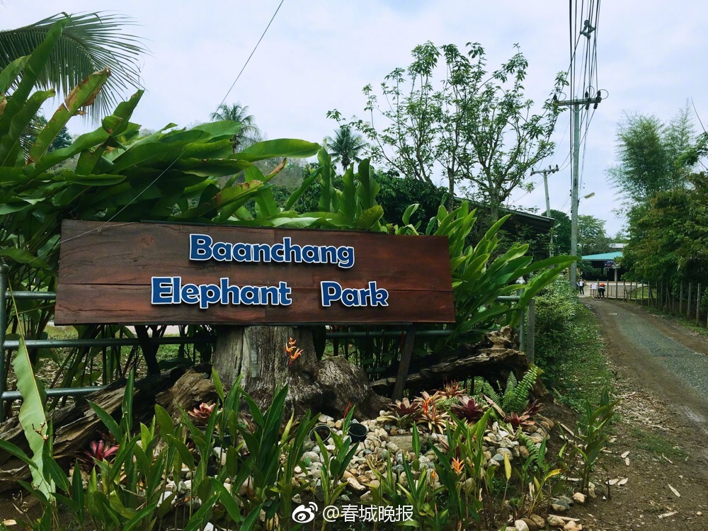 合肥地铁开出“八里河号”