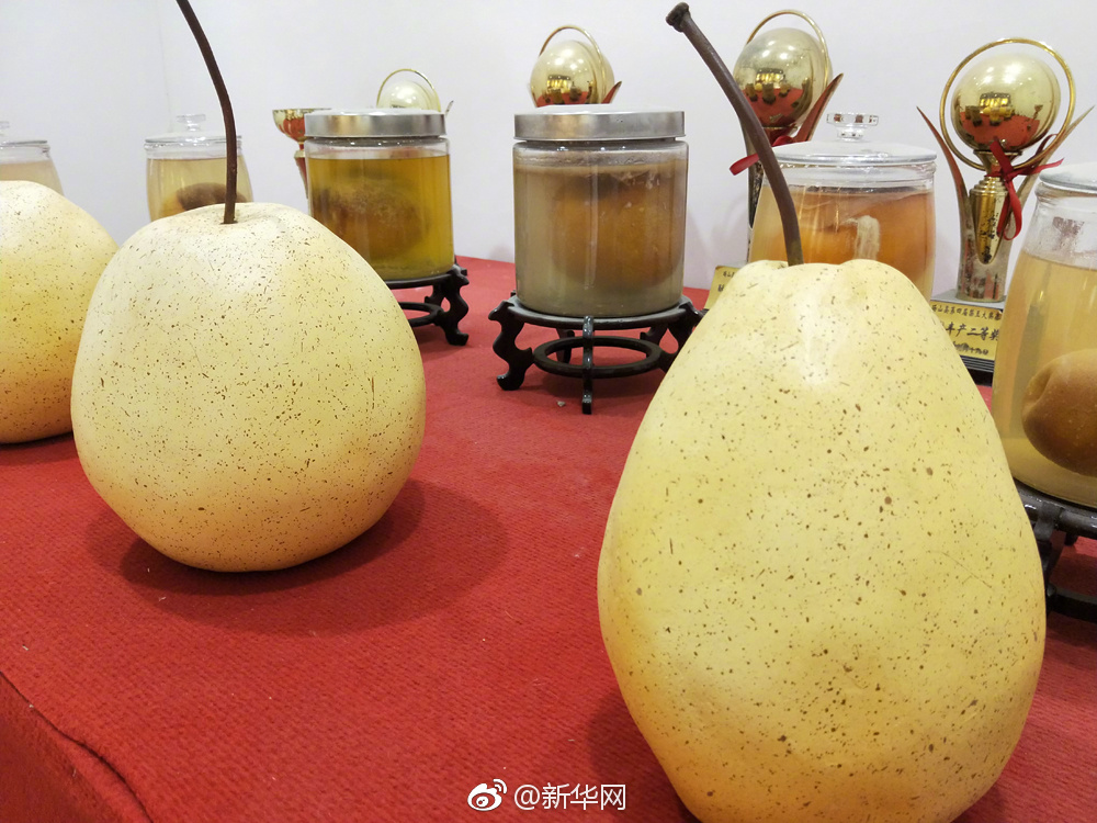 残乳令TXT，在线观看、剧情介绍及演员信息