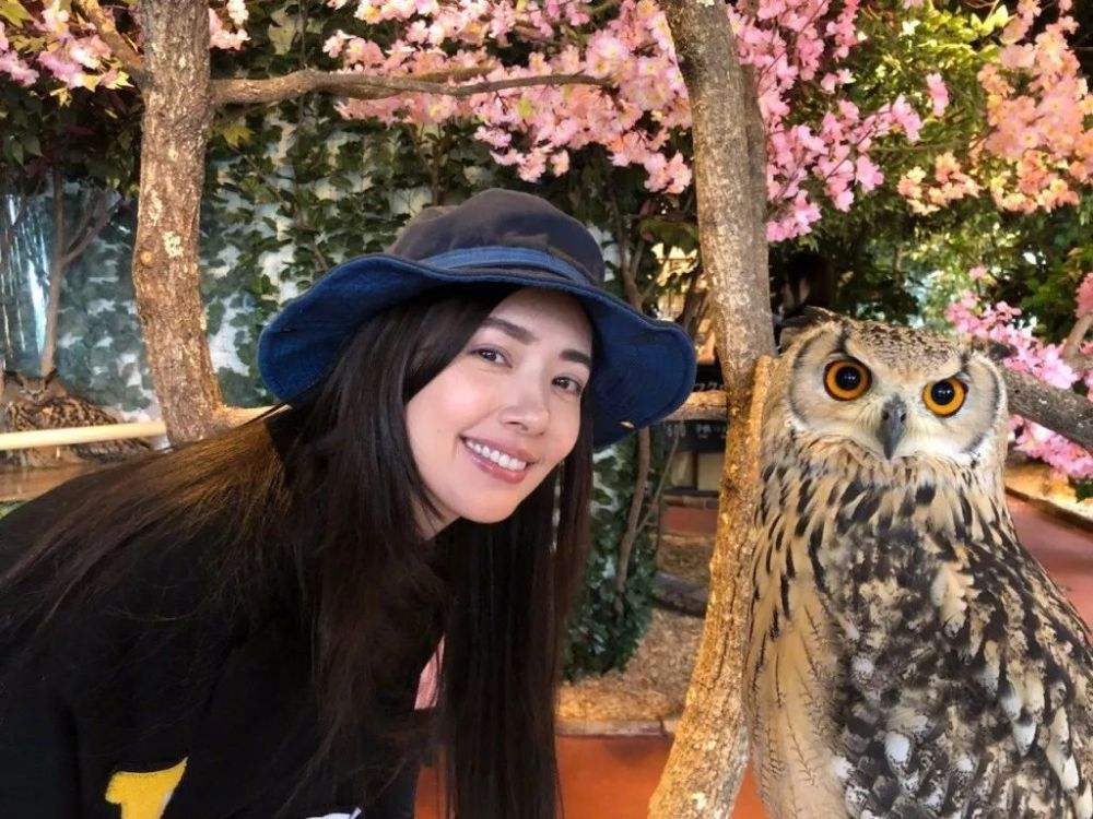 盘点郭碧婷绯闻前男友,外表甜美的她,为何最后选择了向佐? 盘点郭碧婷绯闻前男友,外表甜美的她,为何最后选择了向佐?