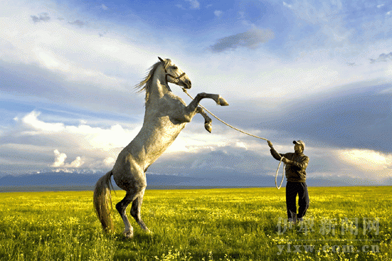 昭蘇縣，夏季避暑好地方