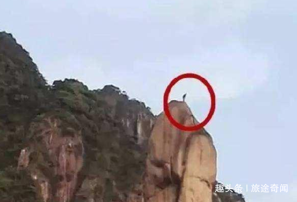 世界遗产三清山巨蟒峰遭人为破坏, 3名驴友会被判几年