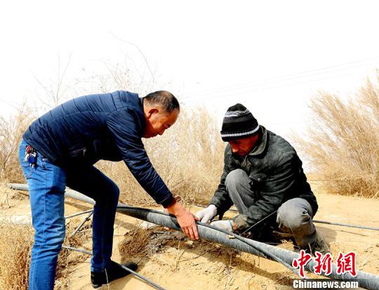 且末县人口_且末县地图(3)