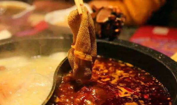 吃火锅的毛肚到底是什么肉？是哪里来的？看完估计你都不敢相信！