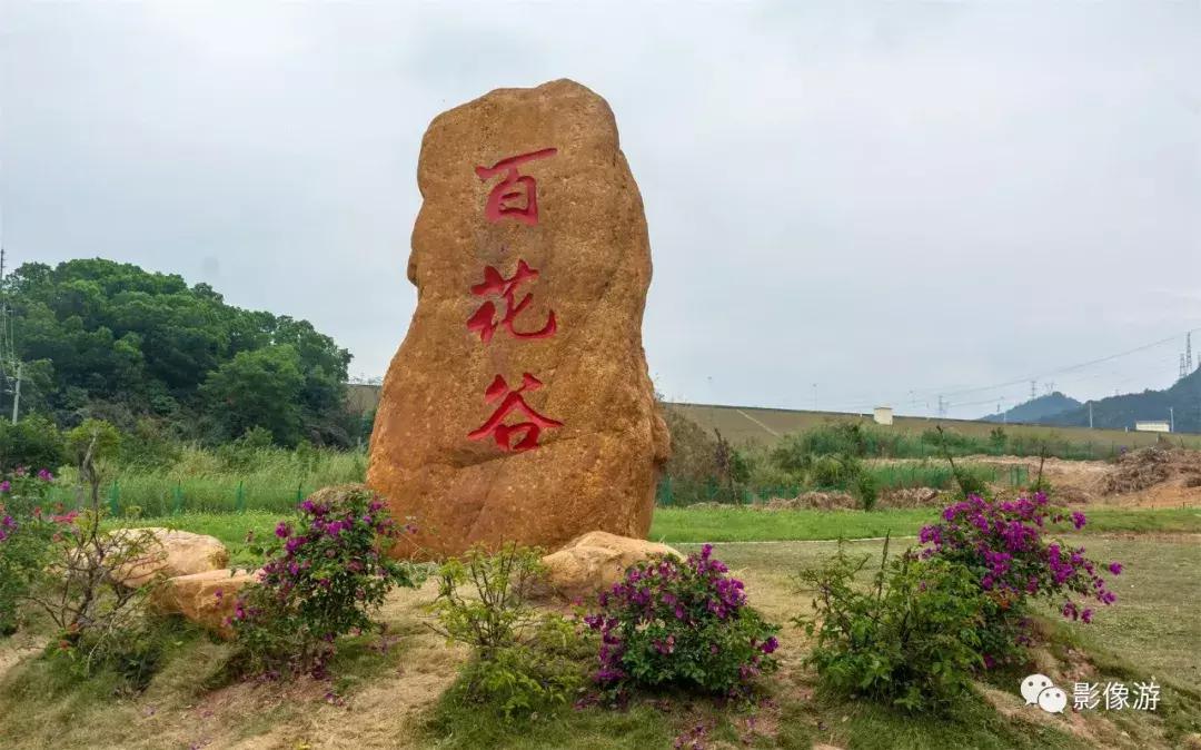 深圳多少人口2019_深圳地王大厦多少层(3)
