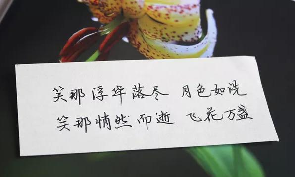 15句最暖心的表白情话：你若不离不弃，我必生死相依
