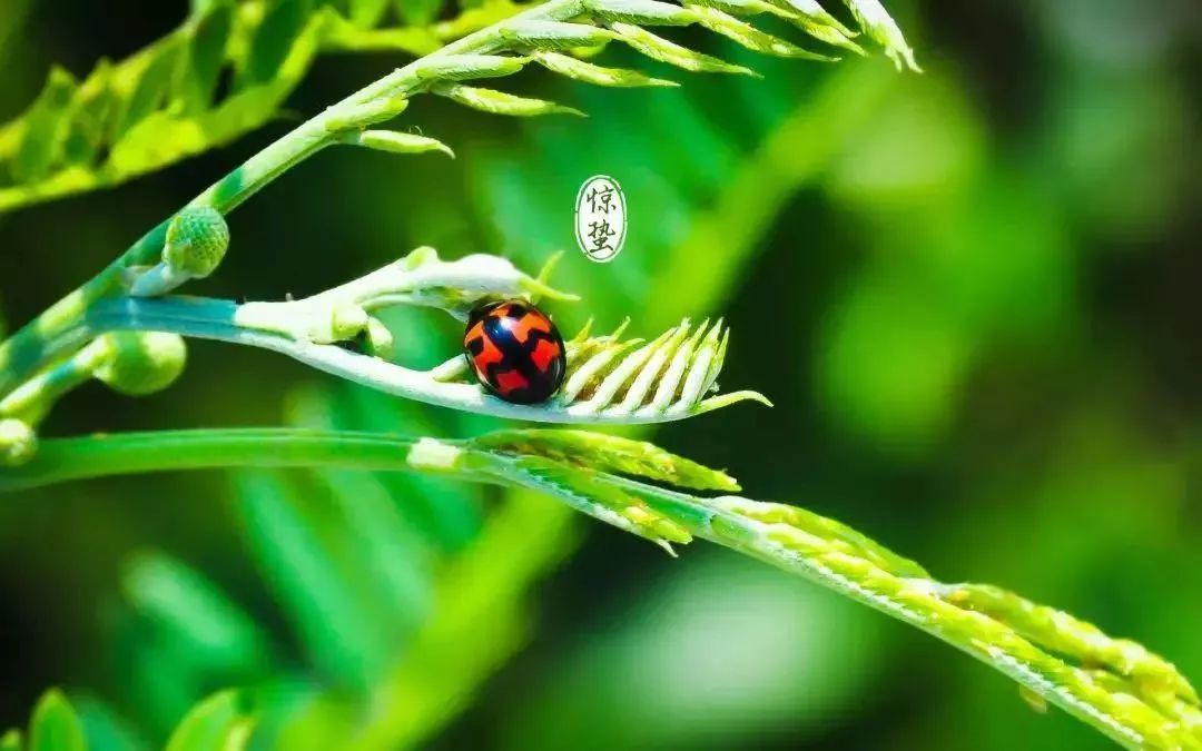 天津利星行体贴呵护丨购原厂保养套餐乐享惬意生活