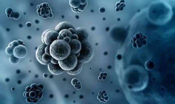 人类什么时候才能攻克癌症?