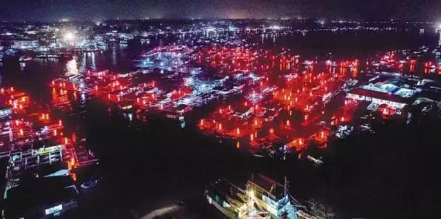 人猴同乐:温暖天堂,海南南湾猴岛!