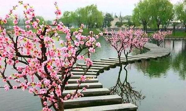 镇江 gdp 2019_武汉三镇组合后为湖北第一,宜昌荆州与襄阳组合能否与之相比(3)