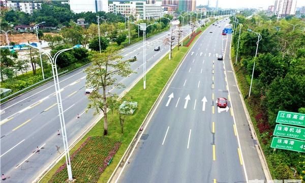 珠海大道示范段绿化提升完成 城市主干道现花海