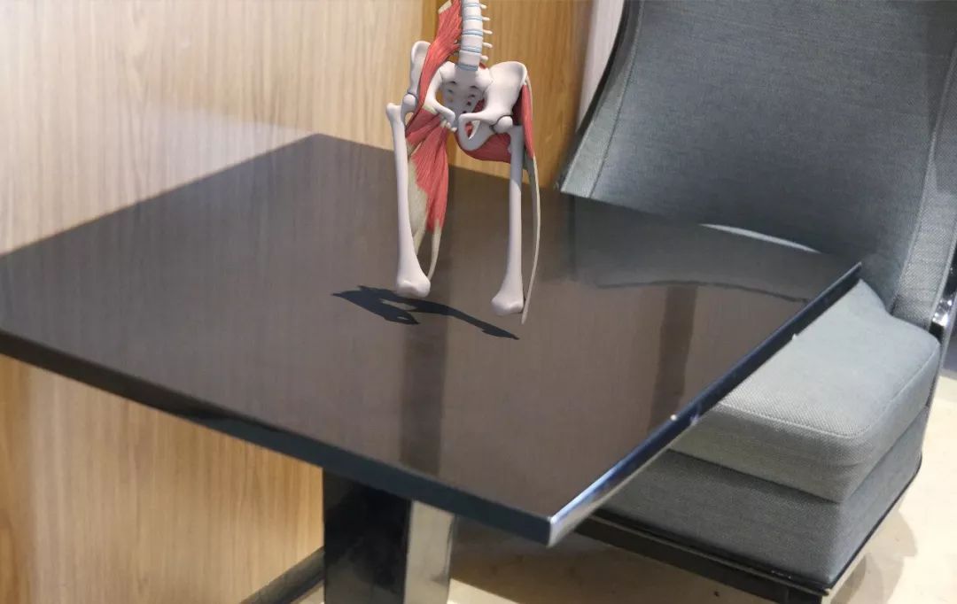 运动解剖APP-健身，运动解剖学与动作技巧详解