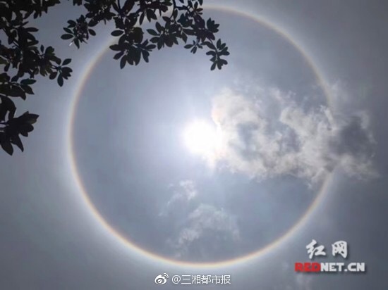 专家在肥探讨“文献传播与历史研究”
