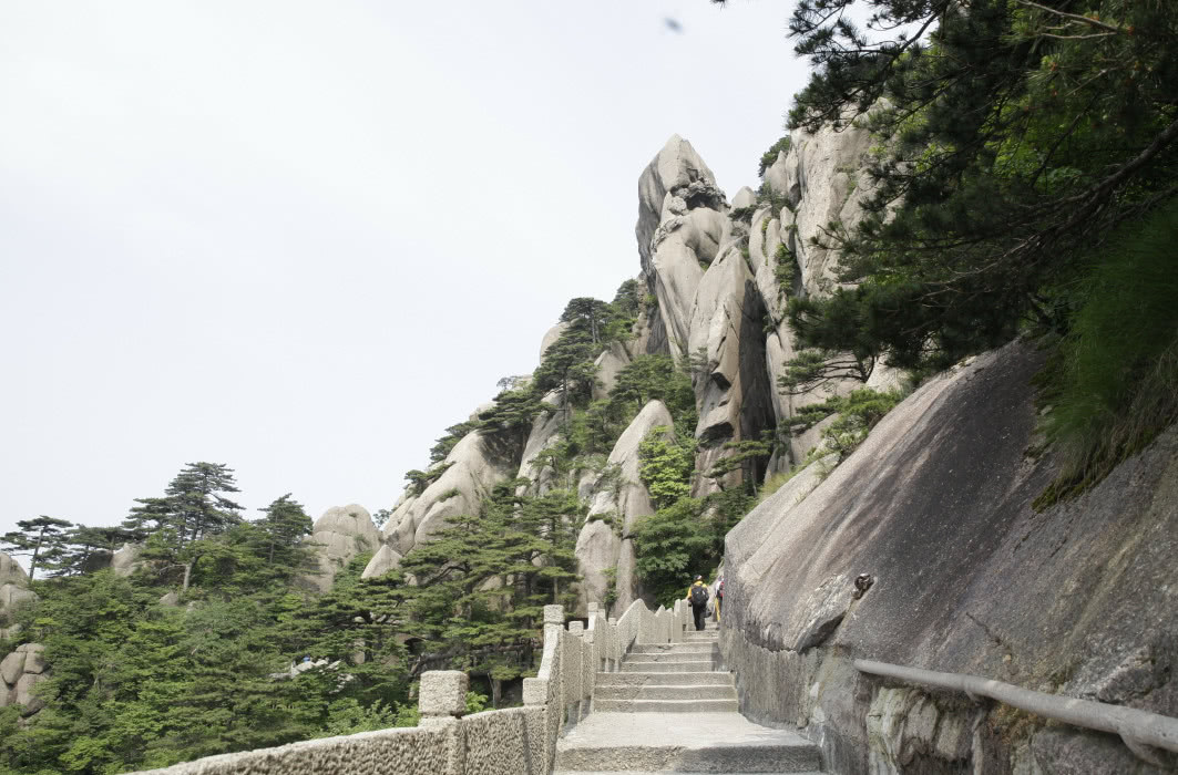 庐山和黄山哪个更好?去过之后经验之谈,网友: