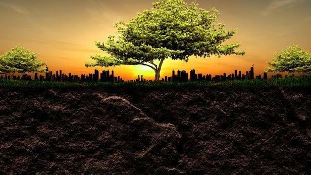 科学家新发现:地下生物可以休眠几千年,总重量是人类的385倍!