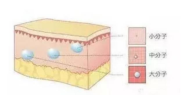 明星们的玻尿酸脸垮了,张曼玉颜值回归、萧亚