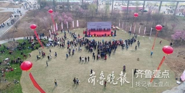 2019日照樱花节开幕,助推乡村振兴和大众旅游