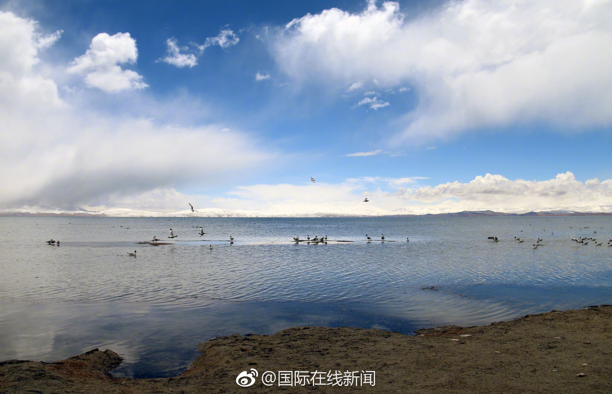 青阳县庙前镇：退役军人展风采 红色文化进校园