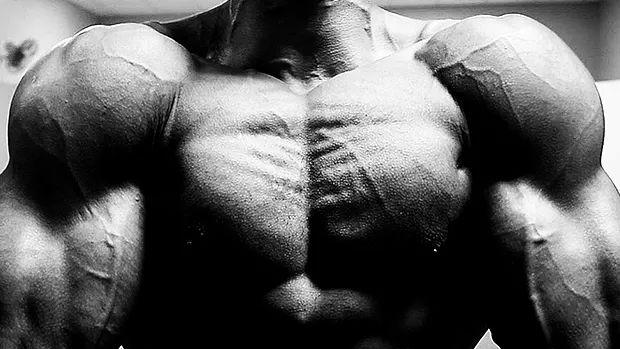 哑铃飞鸟健身房最受欢迎的胸肌锻炼动作之一!