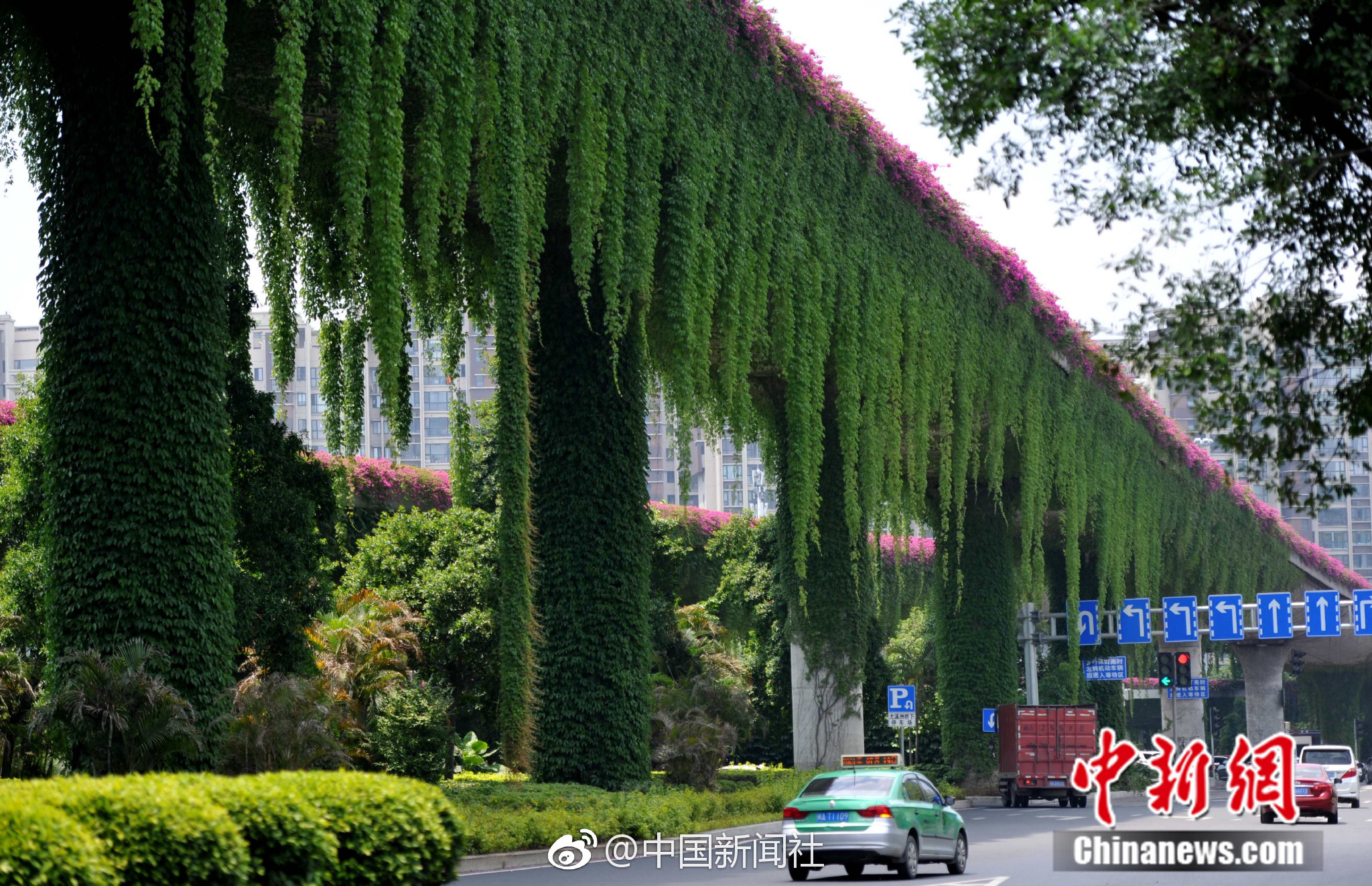 乱子现场直播，免费在线观看与剧情介绍