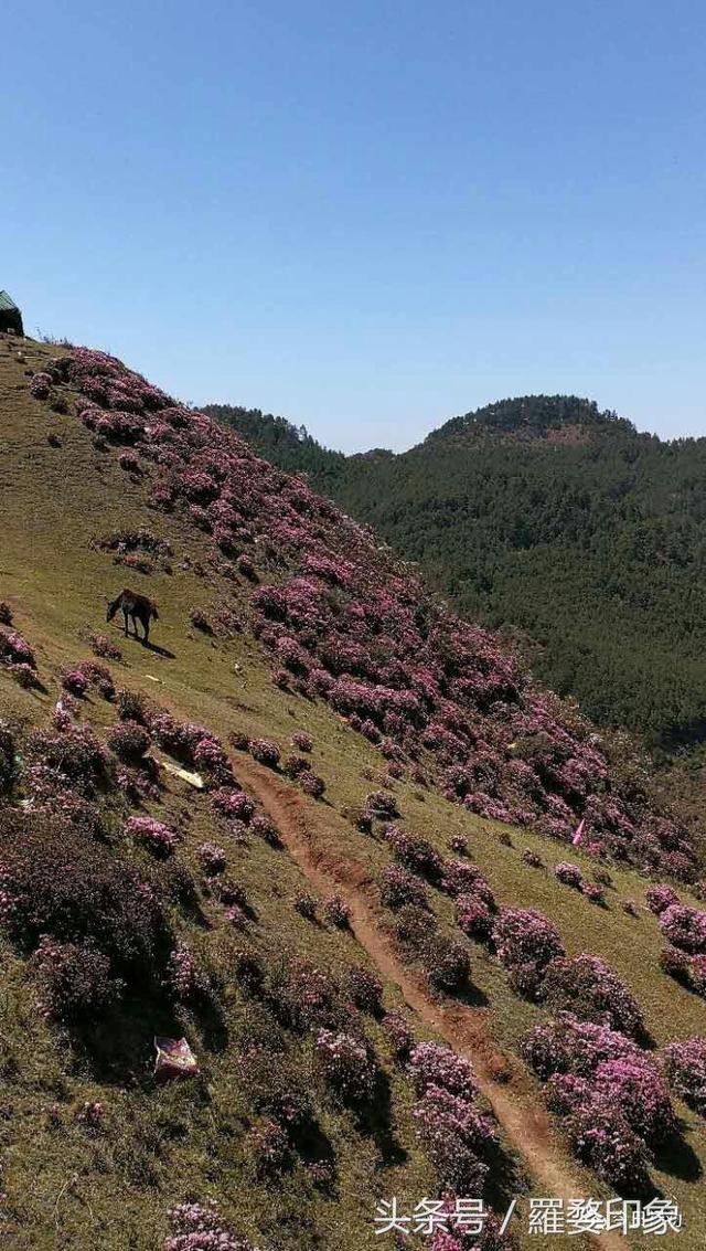 云南禄劝乌蒙天气预报_(昆明禄劝乌东德天气预报)