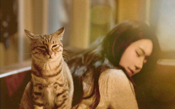 “受过伤，你还相信爱情吗?”这四个女人说出了心里话