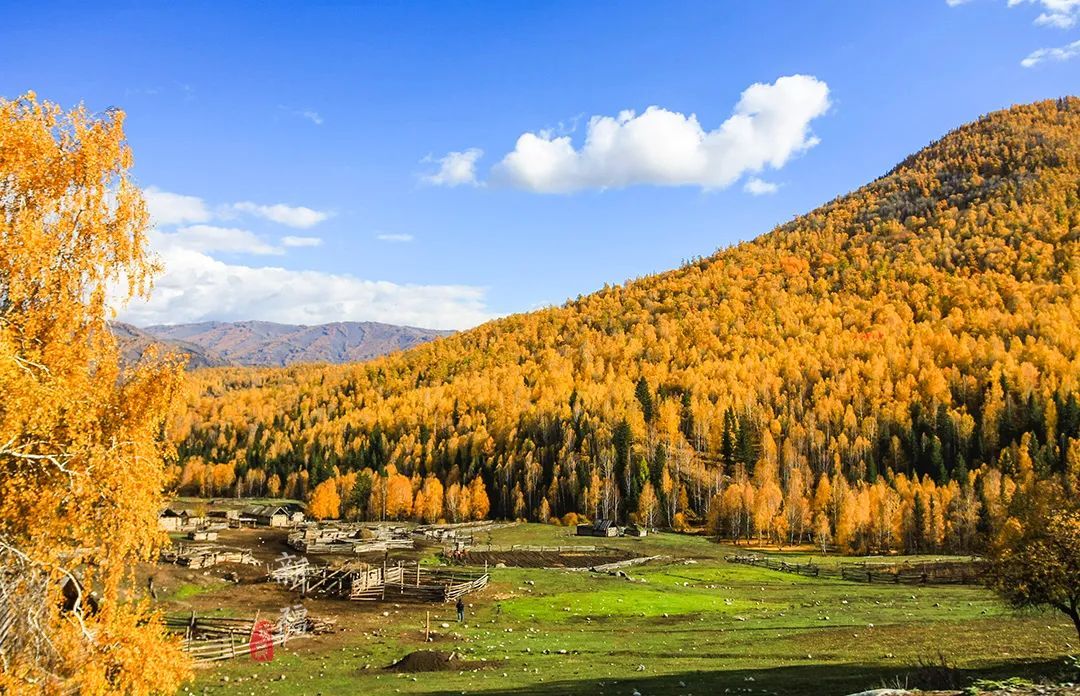 這個(gè)被人們遺忘的民族，在中國的邊境，建起了一個(gè)童話世界