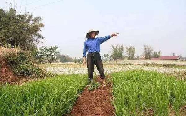 农民交公粮,为什么不把农民的退休金提高到城