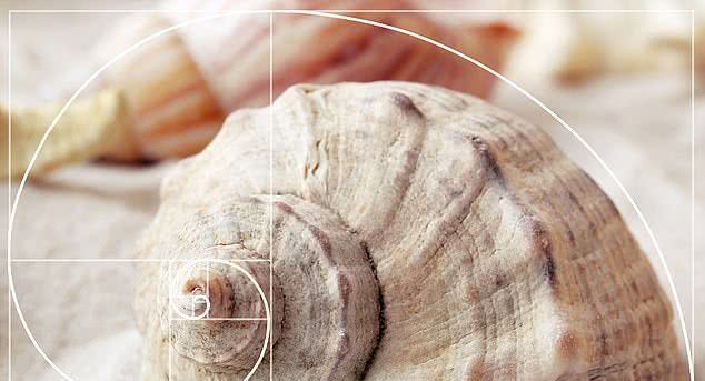 蒙娜丽莎的颜值:据古希腊版“黄金比例”,这多部位都长成了败笔