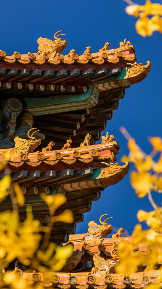 中国古典建筑之美——飞檐和坐在飞檐上的小兽们!